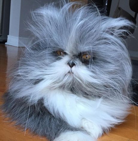 Bu görüntülərə diqqətlə baxın! - Nə gördünüz? - VİDEO 