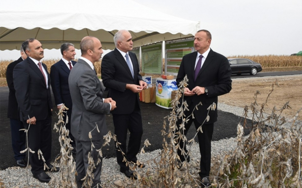 Azərbaycan prezidenti özəl pilot taxılçılıq təsərrüfatının fəaliyyəti ilə tanış olub