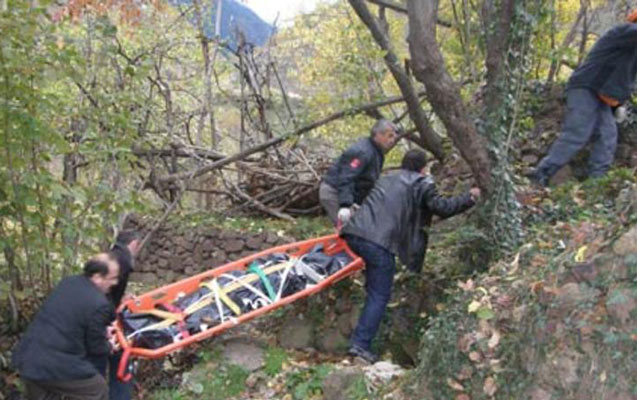 Azərbaycanda qız anasını uçurumdan atdı