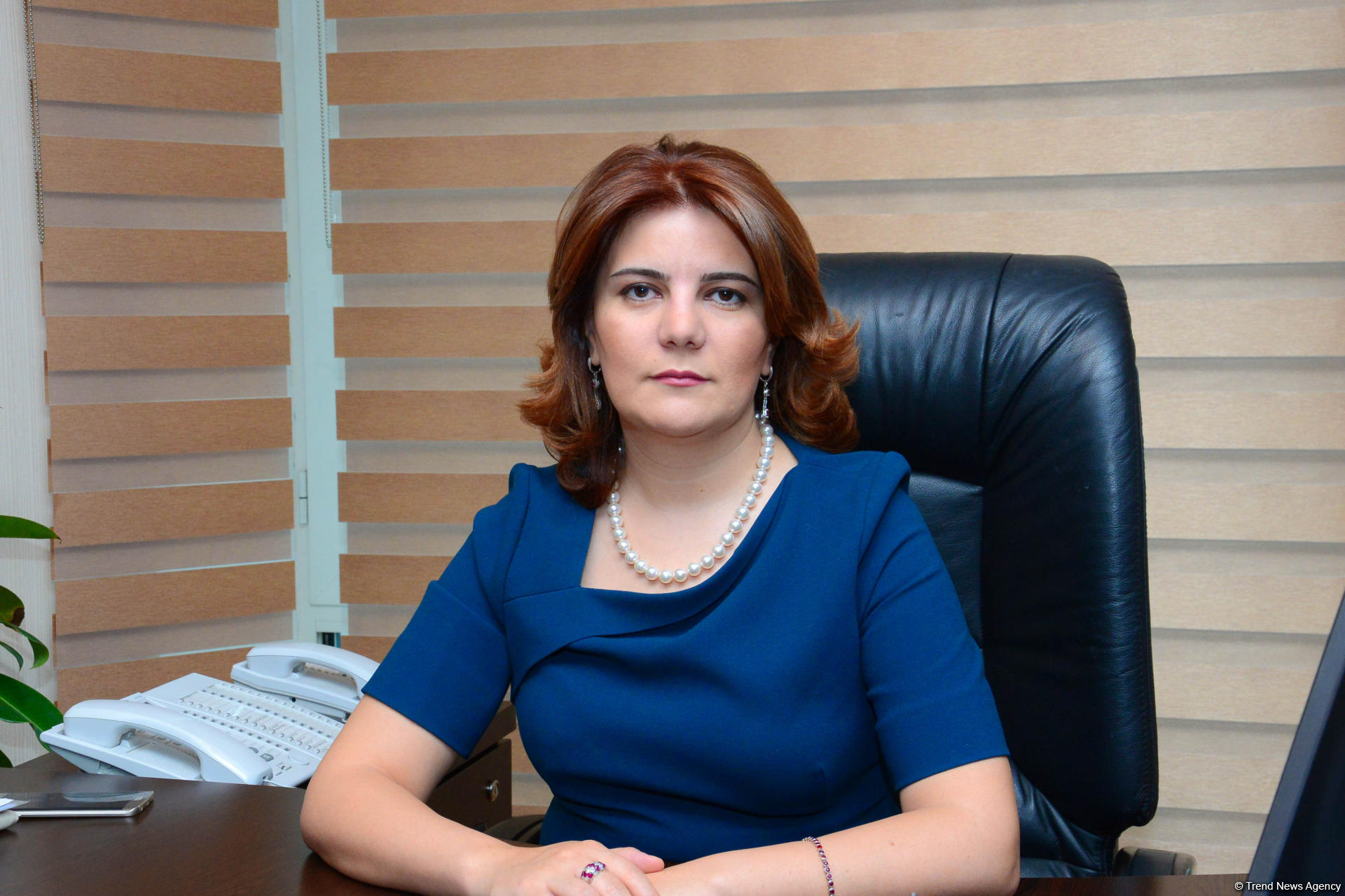 Vüsalə Mahirqızı: Media ilə sosial şəbəkələrin çox ciddi əməkdaşlıq etməsi artıq qaçılmazdır (MÜSAHİBƏ)