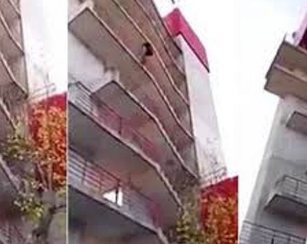 30 saniyədə hara istəsə dırmanır - VİDEO