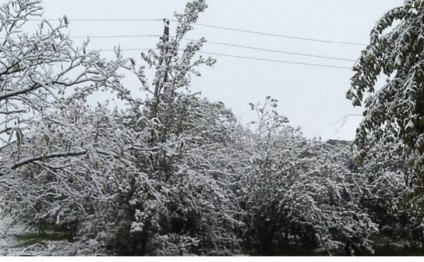 Sabahın HAVASI: Qar yağacaq