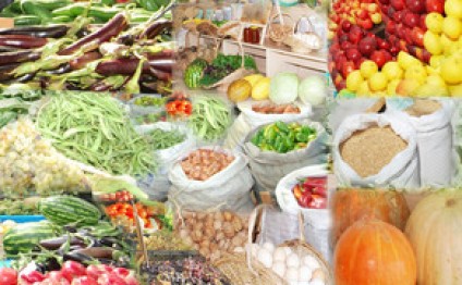 Azərbaycanda kənd məhsulları brendinin yaradılması üçün konsepsiya hazırlanıb