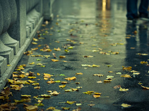 Həftə sonunun HAVAsı