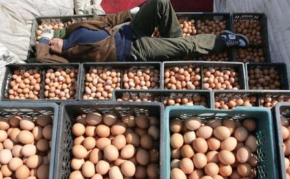 Satışda saxta Çin yumurtası: MÜTLƏQ OXUYUN!