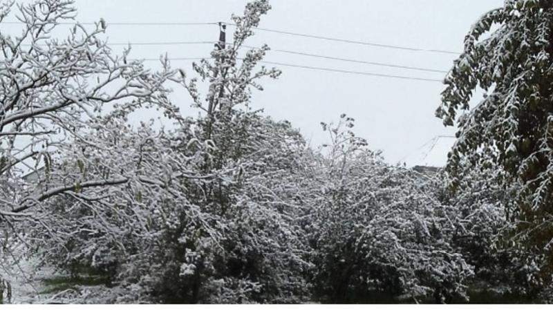 Sabahın havası: Bakıya qar yağacaq