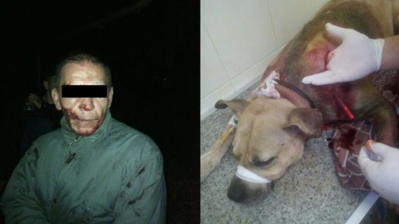 ŞOK: 46 yaşlı kişi iti parçalayıb qanını içdi və... - FOTO