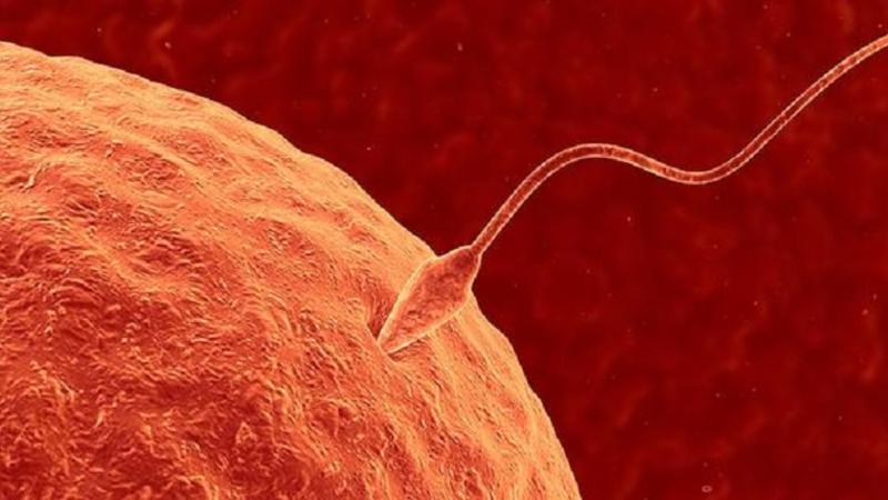 Avstriya alimləri təəccübləndirdi: Gözəllik və əbədi cavanlıq resepti tapıldı!