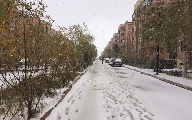 Bakıya ilk qar yağdı - FOTOLAR + VİDEO