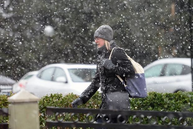 Bu hava Bakı üçün xarakterikdirmi? - İNSTİTUTUN CAVABI