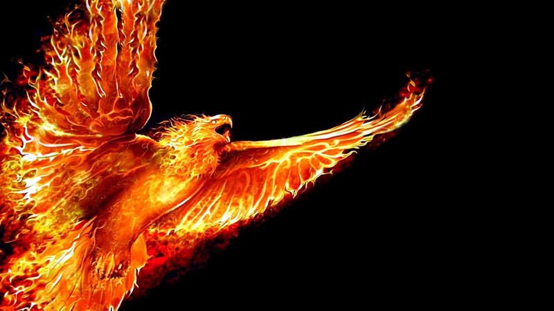 2017-ci il üçün DƏHŞƏTLİ PROQNOZLAR