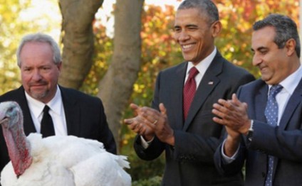 Obama hindquşunu əfv etdi - FOTO