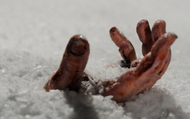 Qusarda 45 yaşlı kişi donaraq öldü