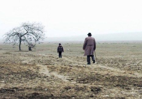 “Qara bağ” dünya arenasına çıxır - Video