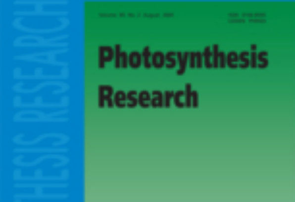 Azərbaycanlı alimlərin məqaləsi birinci yeri tutub