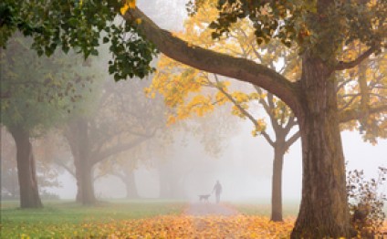 Dekabrın 3-dək hava şəraiti qeyri-sabit keçəcək
