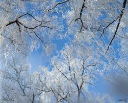 Dekabr ayına olan hava proqnozu açıqlanıb