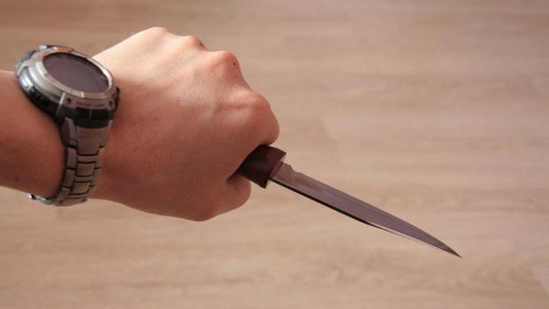 17 yaşlı oğlan bacısını qanına qəltan etdi