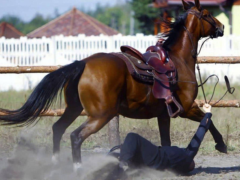 Bakıda at 20 yaşlı oğlanı sürüdü