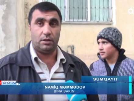  “Yellənir elə bilirik ki, aşacaq” – Sakinlərin kabusuna çevrilən ağac – VİDEO