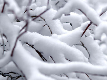 Rayonlara qar yağacaq