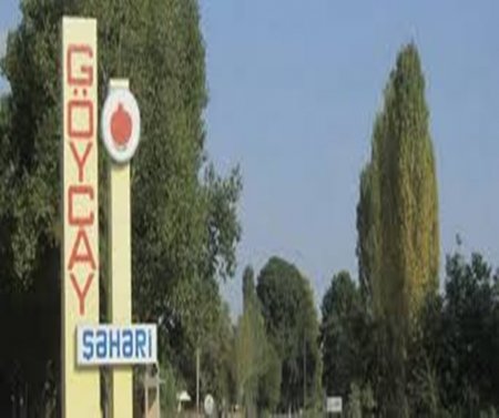 Rəislə reyestr xidməti rəhbərinin müdhiş korrupsiyası ifşa olundu - GÖYÇAYDA