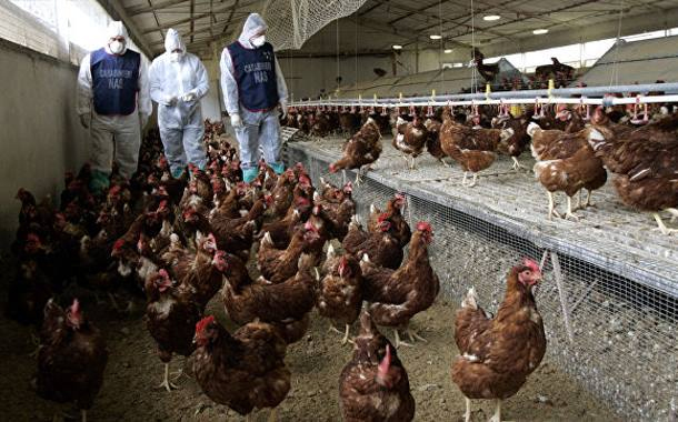 Avropa Birliyi həyəcan təbili çalır