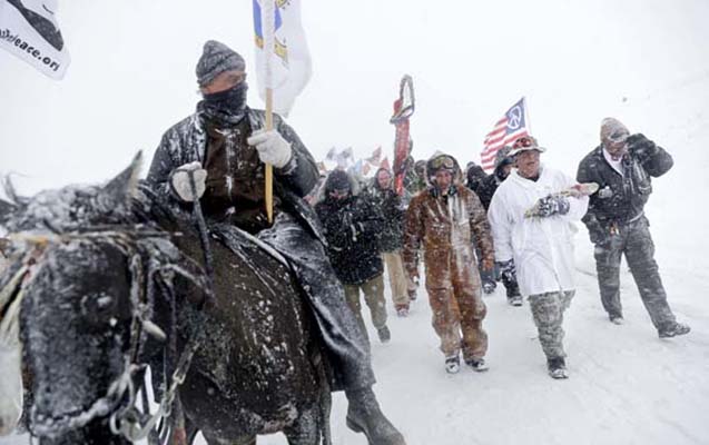Donsalar da, etirazı dayandırmırlar - Maraqlı Fotolar