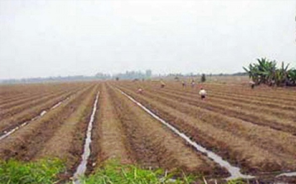 200 min hektara yaxın torpaq dövlətə qaytarıldı