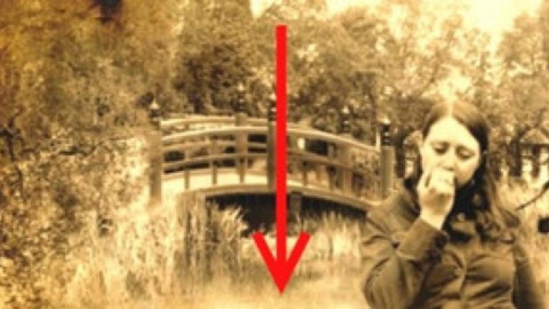 Diqqət! Bu fotoda yalnız 100 nəfərdən 1-i ikinci qadını tapa bilər - FOTO