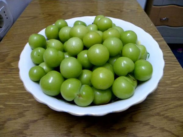 Bakıda alçanın qiyməti yenə rekord qırdı... - FOTO