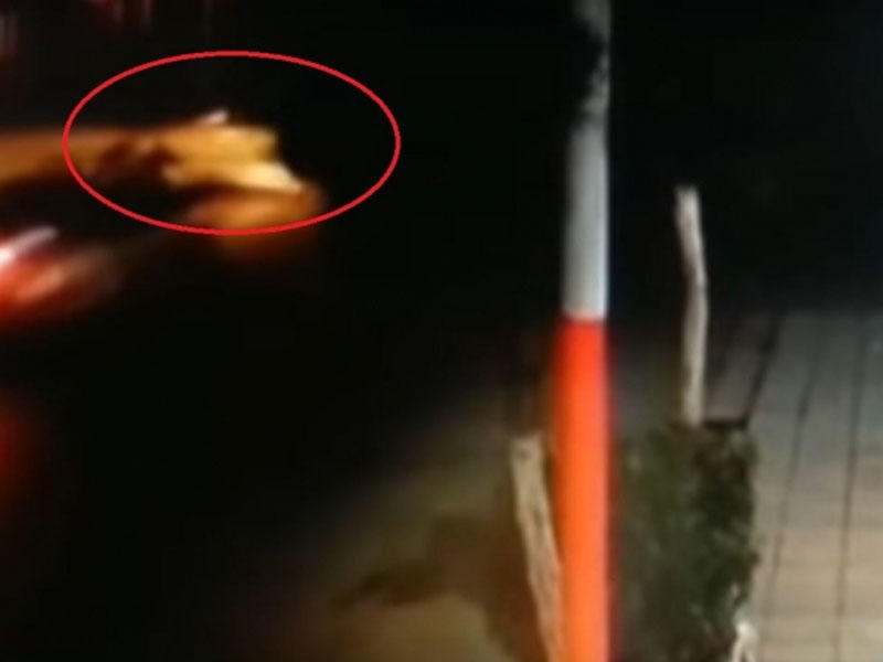 Azərbaycandakı dəhşətli qəzanın videosu yayıldı