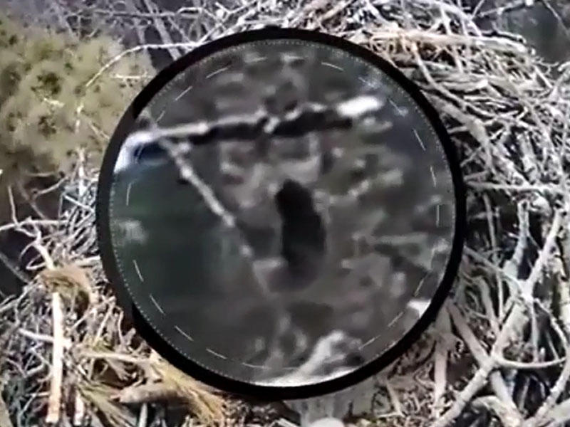 İnternetdə böyük qalmaqal yaradan ŞOK VİDEO