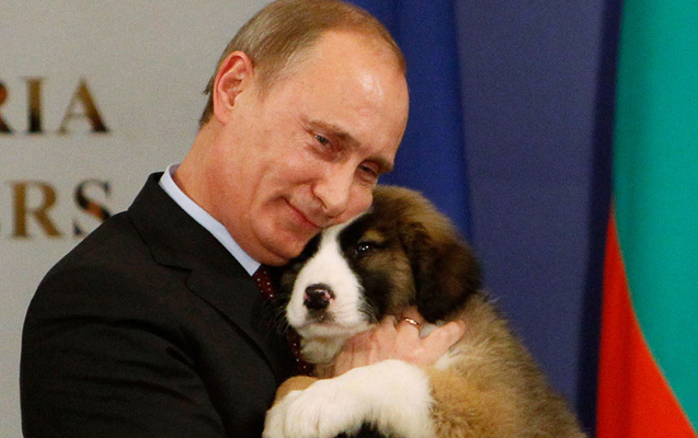 Putin yaponların it hədiyyəsini rədd etdi