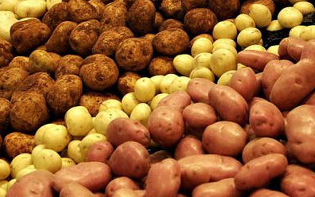 Azərbaycan özünü kartofla tam təmin edəcək