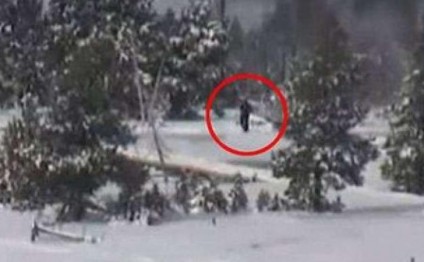 O nəhəng məxluq Azərbaycanda da göründü - SAKİNLƏR DANIŞIR - VİDEO