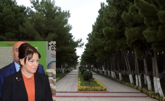 Abşeronun ən gözəl parkı məhv edilir - Rəsmi açıqlama/ FOTO