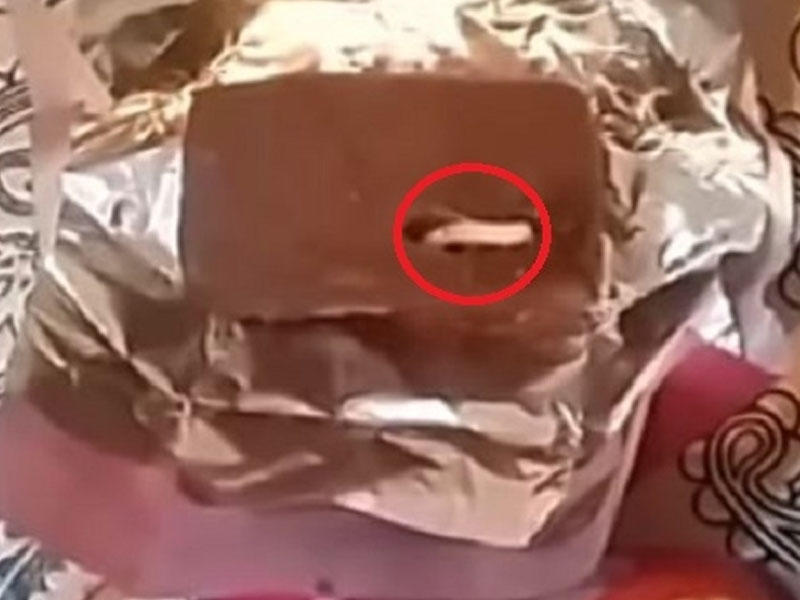 DƏHŞƏT ! Şokoladın içindən çıxan canlı Bakı sakininin əhvalını pozdu - VİDEO