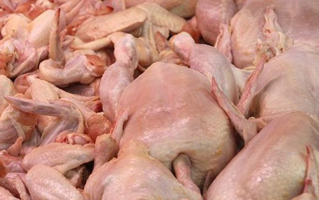 Rusiyadan quş əti gətirilməsinə məhdudiyyət qoyuldu