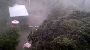 Dünyanı 2016-ci ildə sarsıdan böyük təbii fəlakətlər