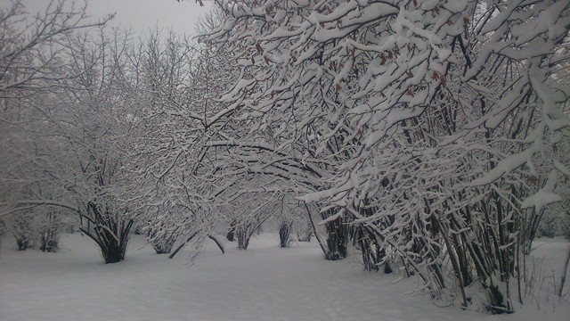 Sabahın HAVASI: Qar gəlir