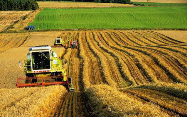 Aqrar sahədə elmi tədqiqatların aparılması stimullaşdırılacaq