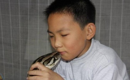 Çində bir ailə nəhəng dişi pitonu oğluna dayə seçdi - FOTOLAR