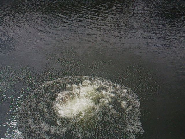 Bakı sakini özünü gölə ataraq intihar edib