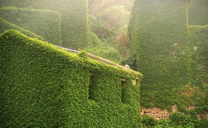 Bitkilərin işğal etdiyi şəhər – MÖHTƏŞƏM FOTOLAR