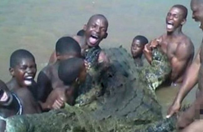 ŞOK! Dişi timsah onu zorlamaq istəyən üç qardaşı parçaladı