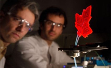 Hollandiyalı alimlər dərmanların sintezi üçün süni yarpaq yaradıblar - Video