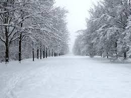 Sabahın hava proqnozu: Qar, yağış, külək...