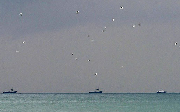 Qəzaya uğrayan təyyarədən ilk görüntülər — Cəsədlər belə çıxarılır + FOTOLAR