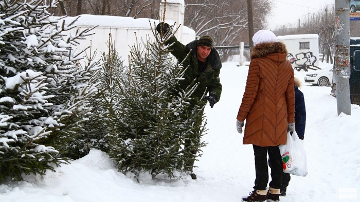 Rusiyada yolka satan azərbaycanlı tutuldu